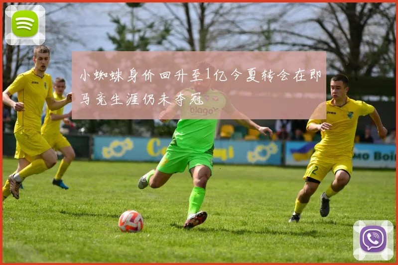 小蜘蛛身价回升至1亿今夏转会在即马竞生涯仍未夺冠